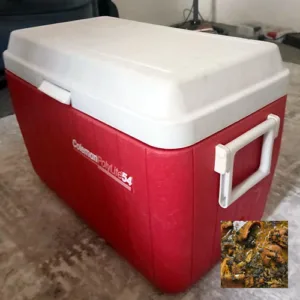 Full Cooler Bitter Leaf